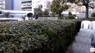 七夕视频午剧场成人- 高清在线观看